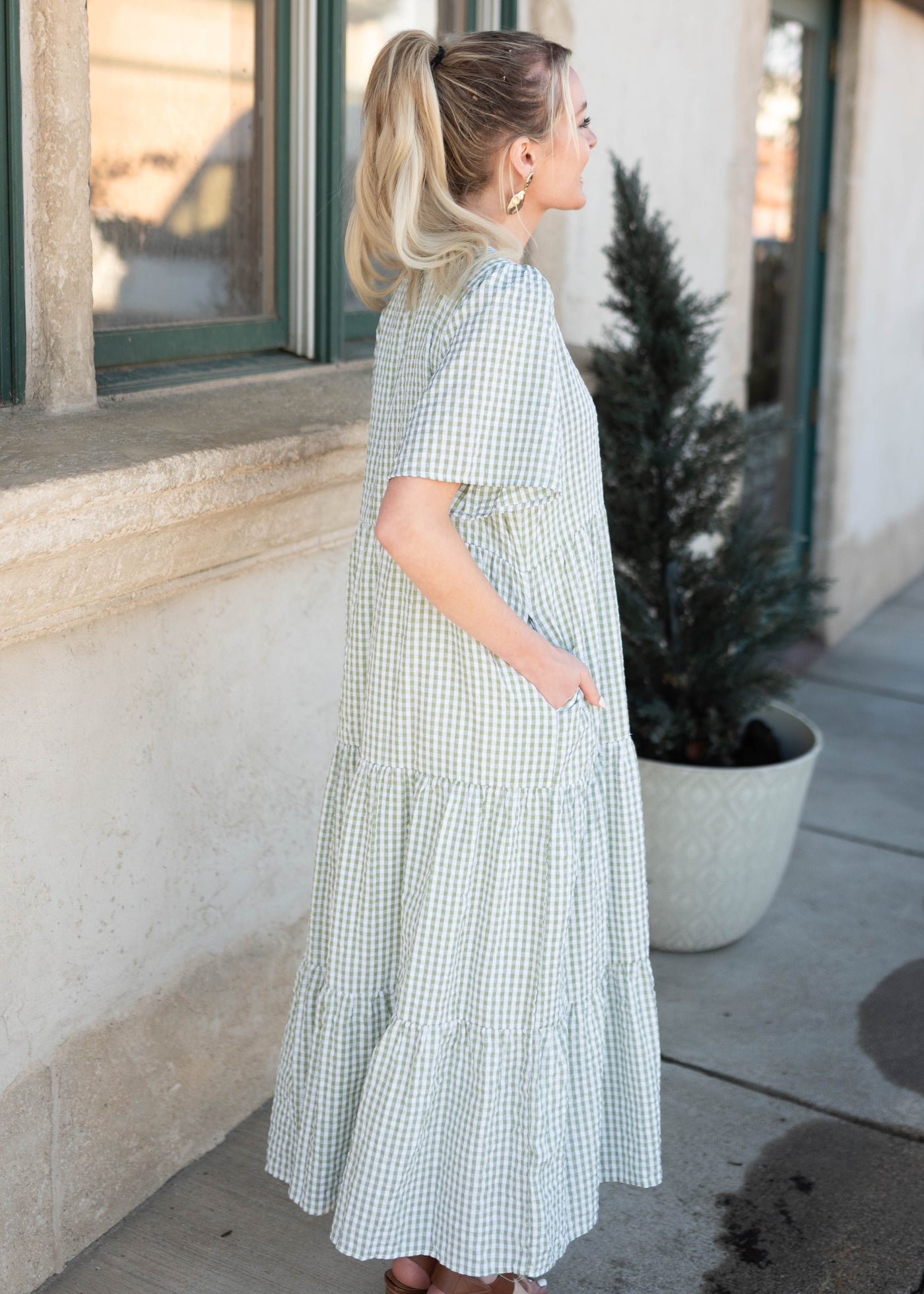 Blair Sage Gingham Dress