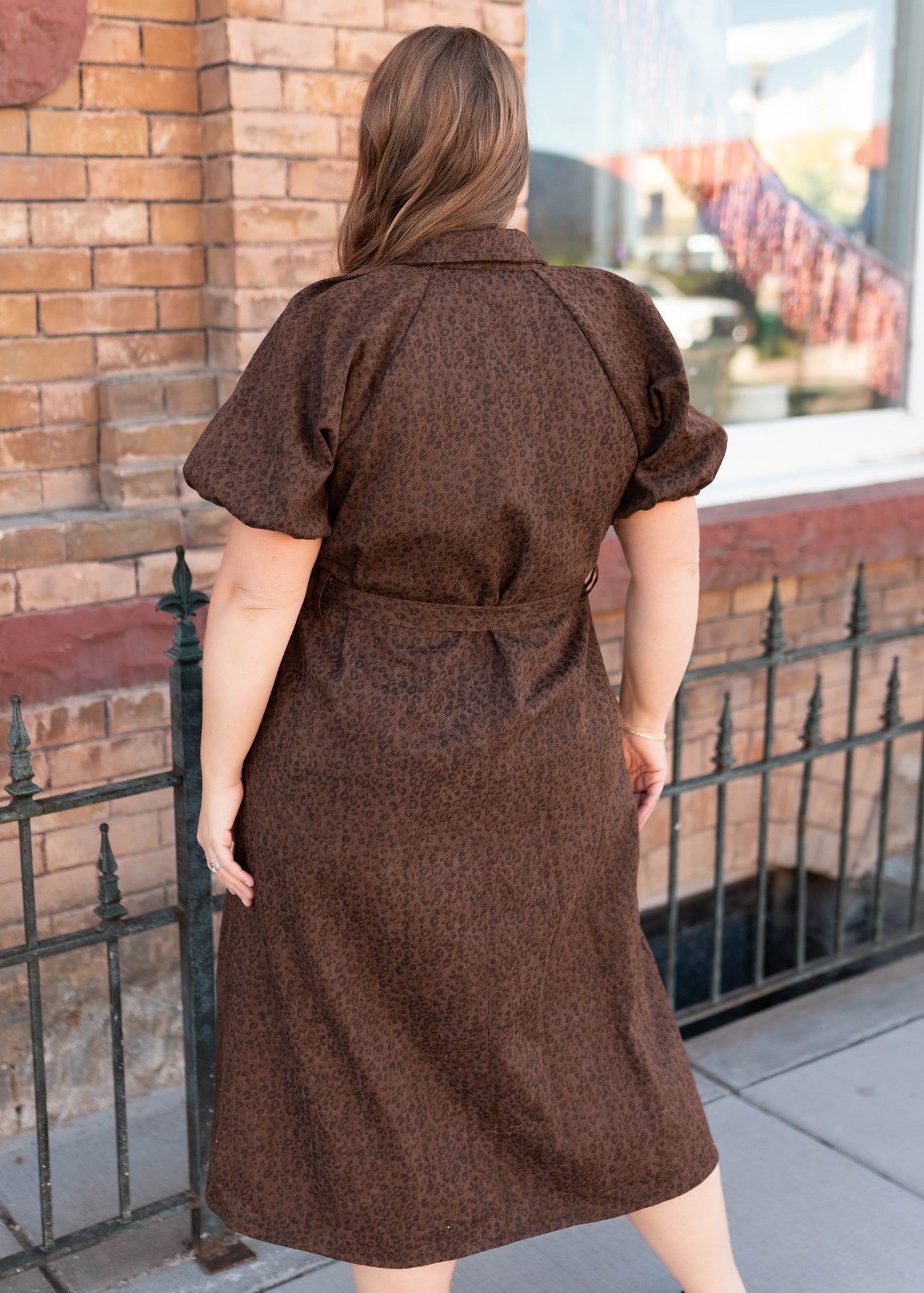 Back view of the plus size brown leopard dress