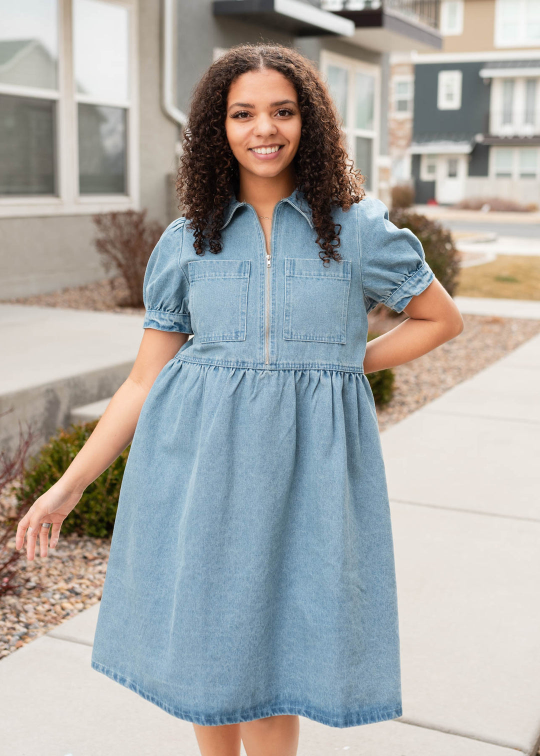 Caroline Denim Zip Up Dress Tea N Rose – Lena Layne