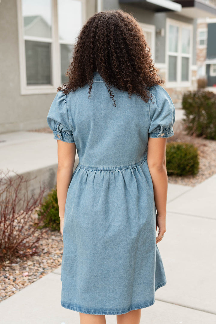 Caroline Denim Zip Up Dress Tea N Rose – Lena Layne