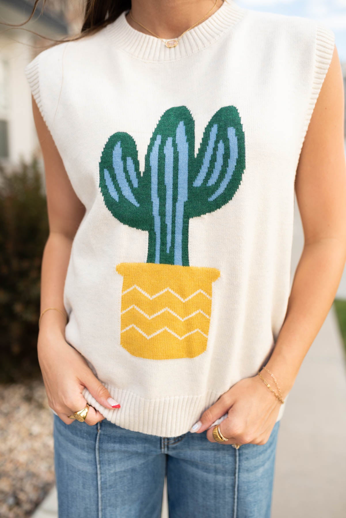 Modest sleeveless san cactus sweater