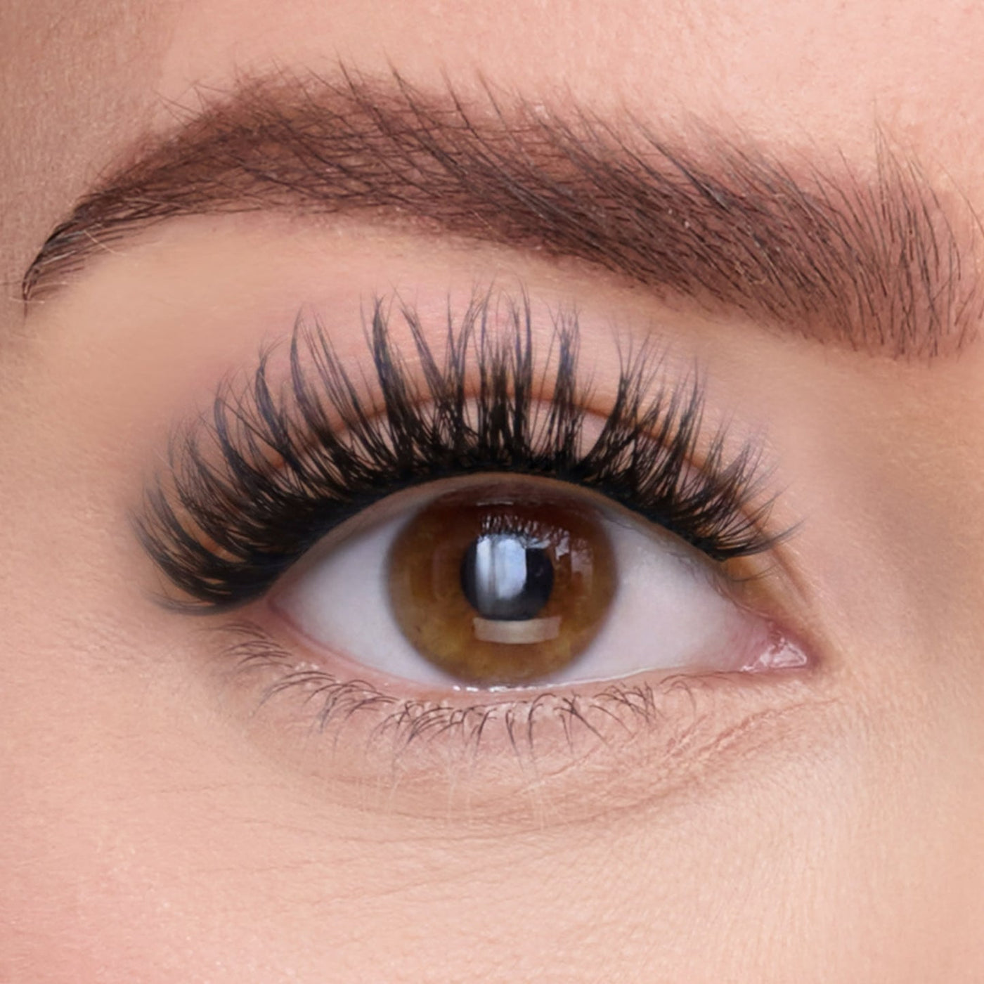 The Dreamer 5 Pair Pre-Glued