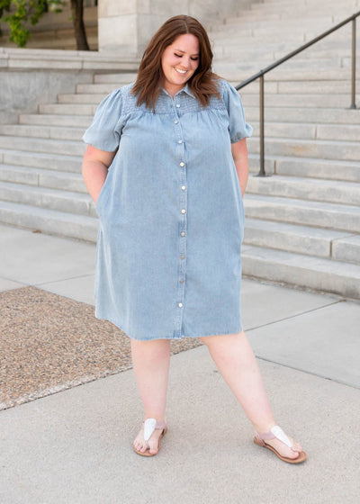 Jaycee Denim Button Down Dress