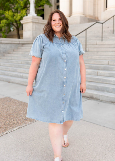 Jaycee Denim Button Down Dress