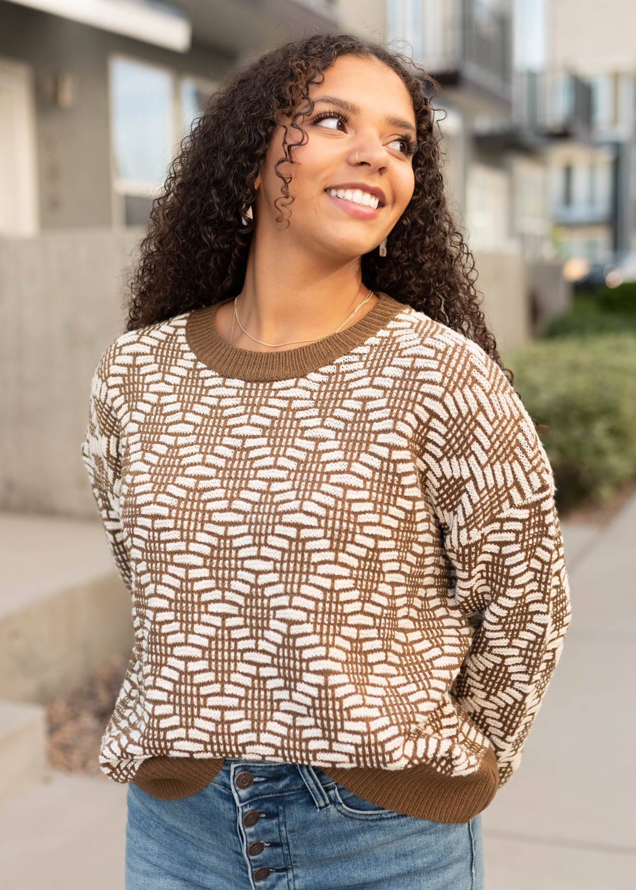 Kaylee Brown Pattern Sweater