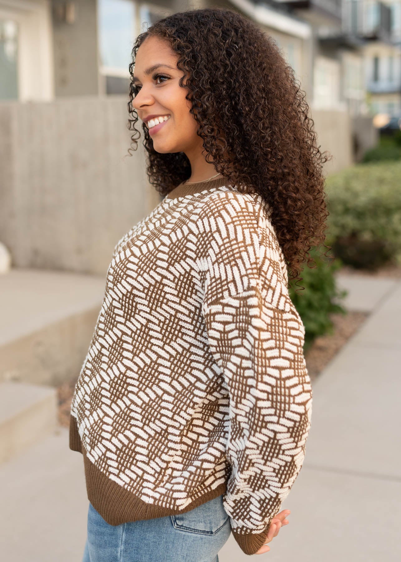 Kaylee Brown Pattern Sweater