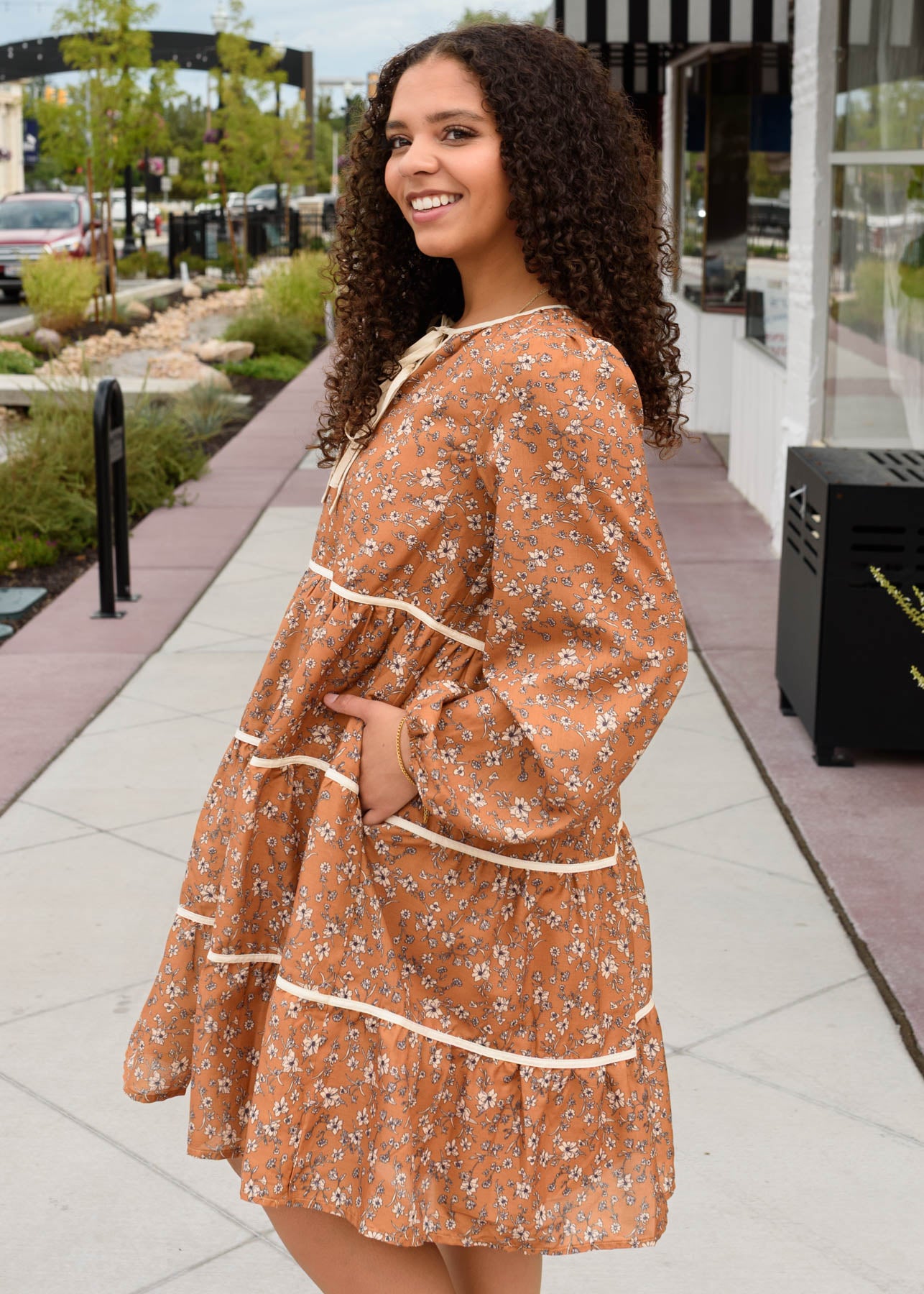 Naomi Ginger Brown Dress
