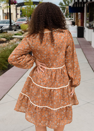 Naomi Ginger Brown Dress