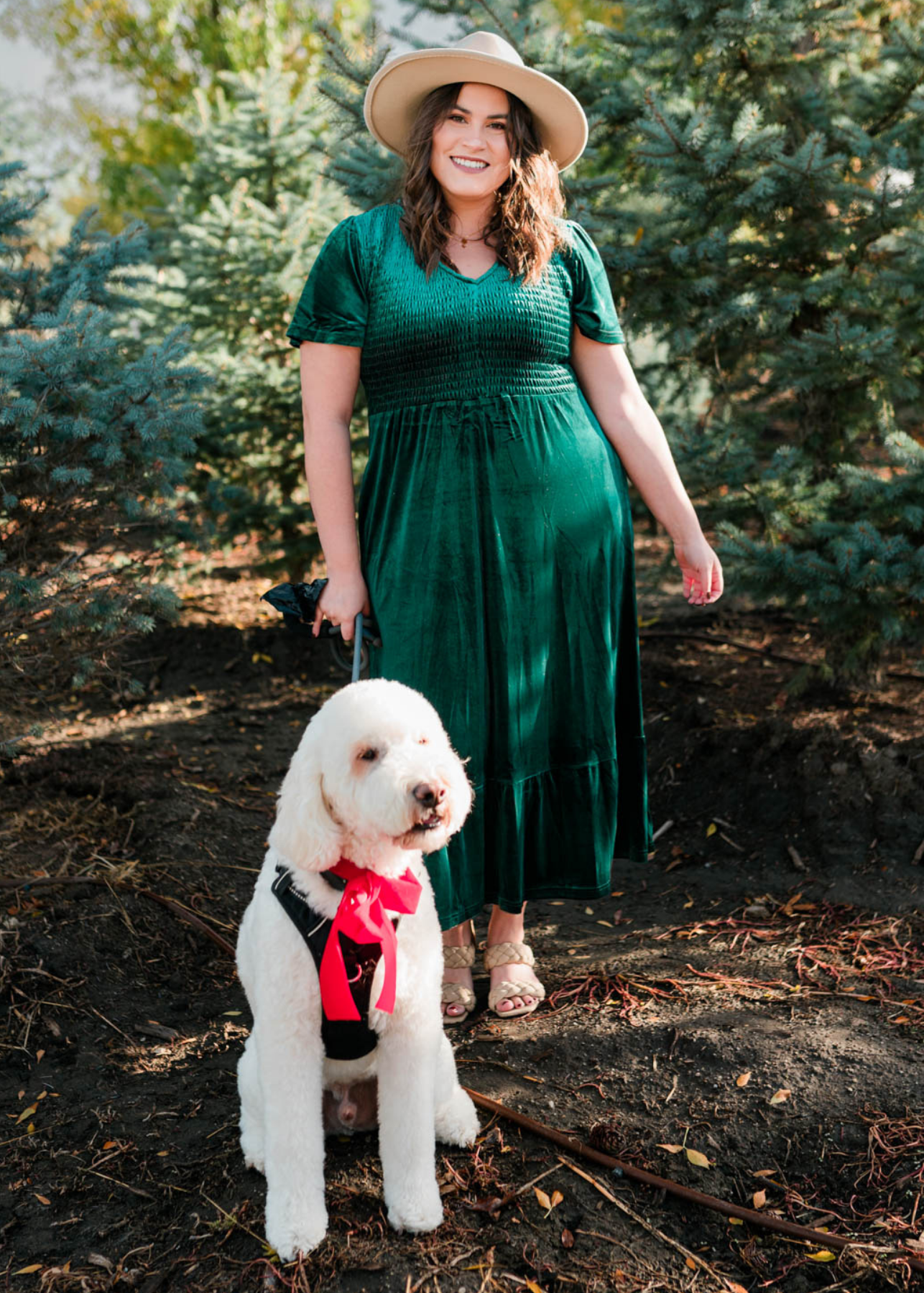 Noel Evergreen Velvet Maxi Dress
