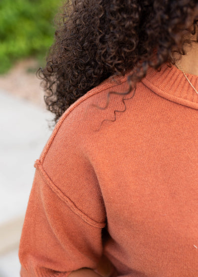 Norah Cinnamon Short Sleeve Sweater