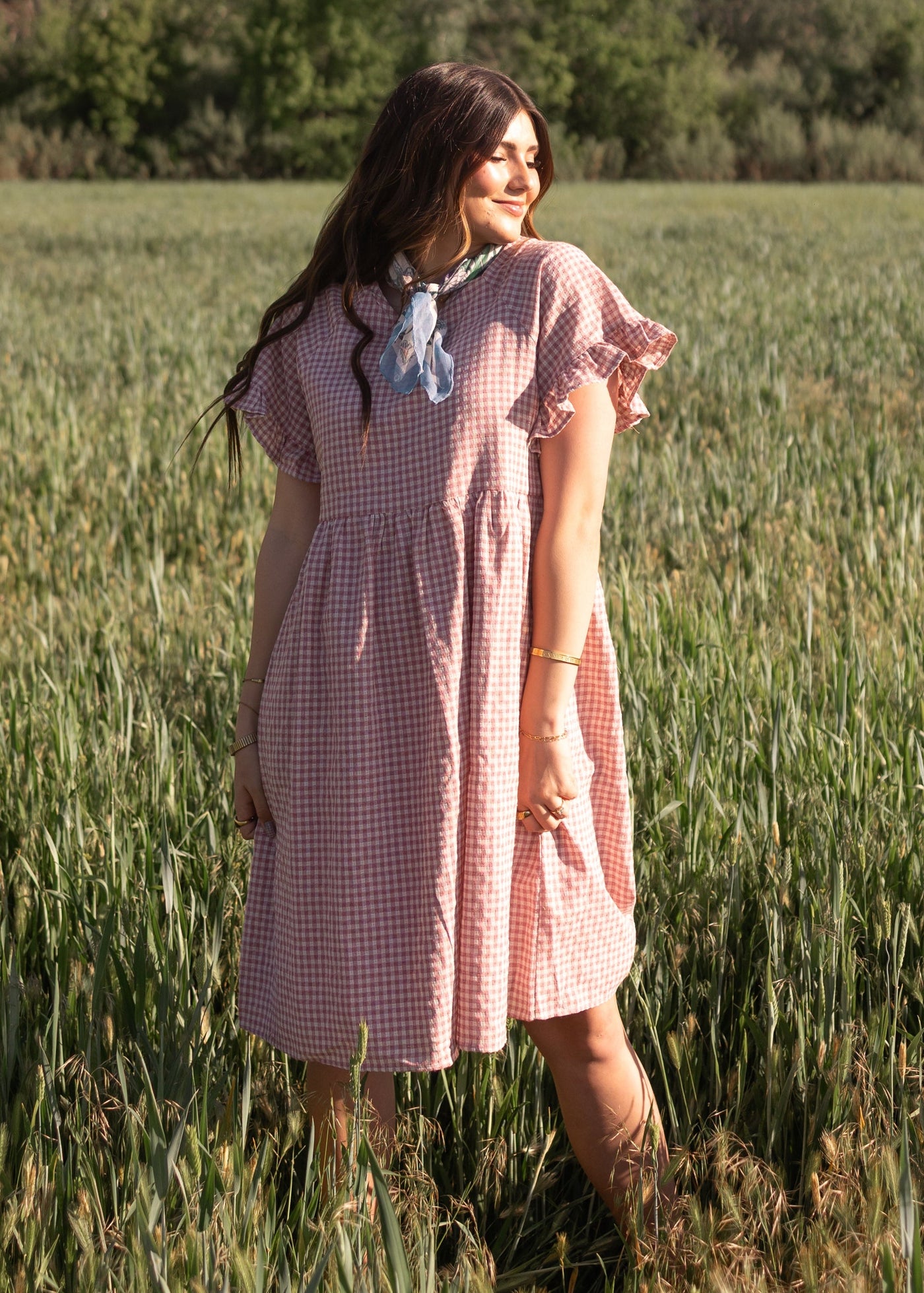 gingham knee length dress Remy Mauve LOYALE