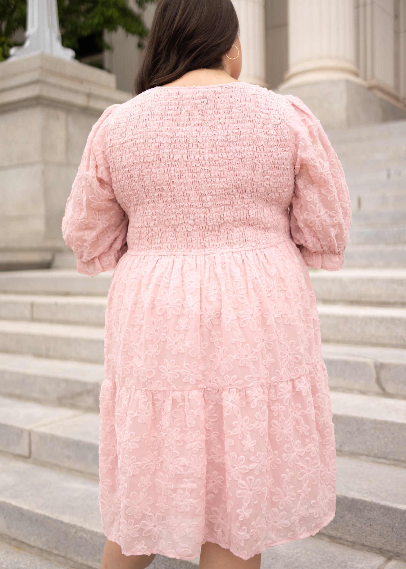 Back view of the plus size blush floral textured dress